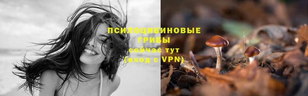 герыч Аркадак