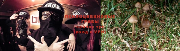 герыч Аркадак